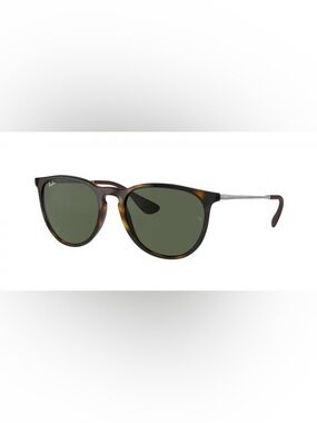 Ray Ban Erika Sunglasses